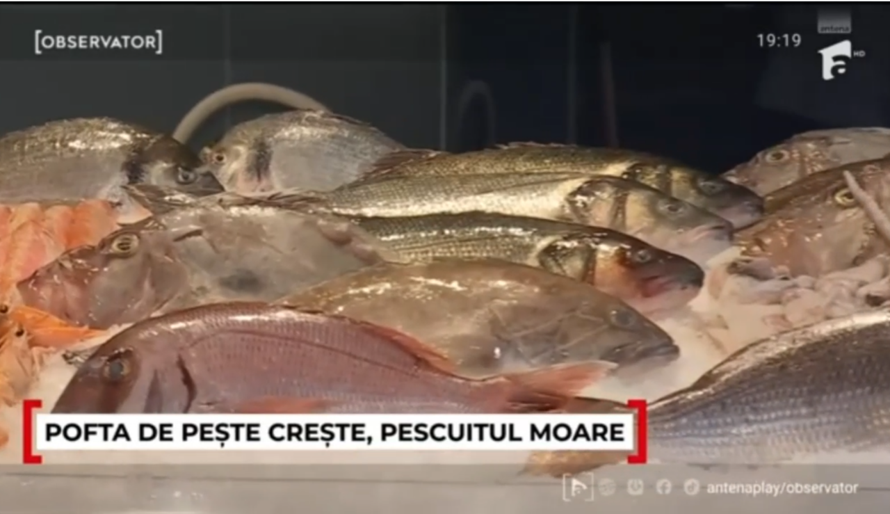 Peștele românesc din Marea Neagră, tot mai rar în galantare! România importă pește și fructe de mare din ȘASE țări