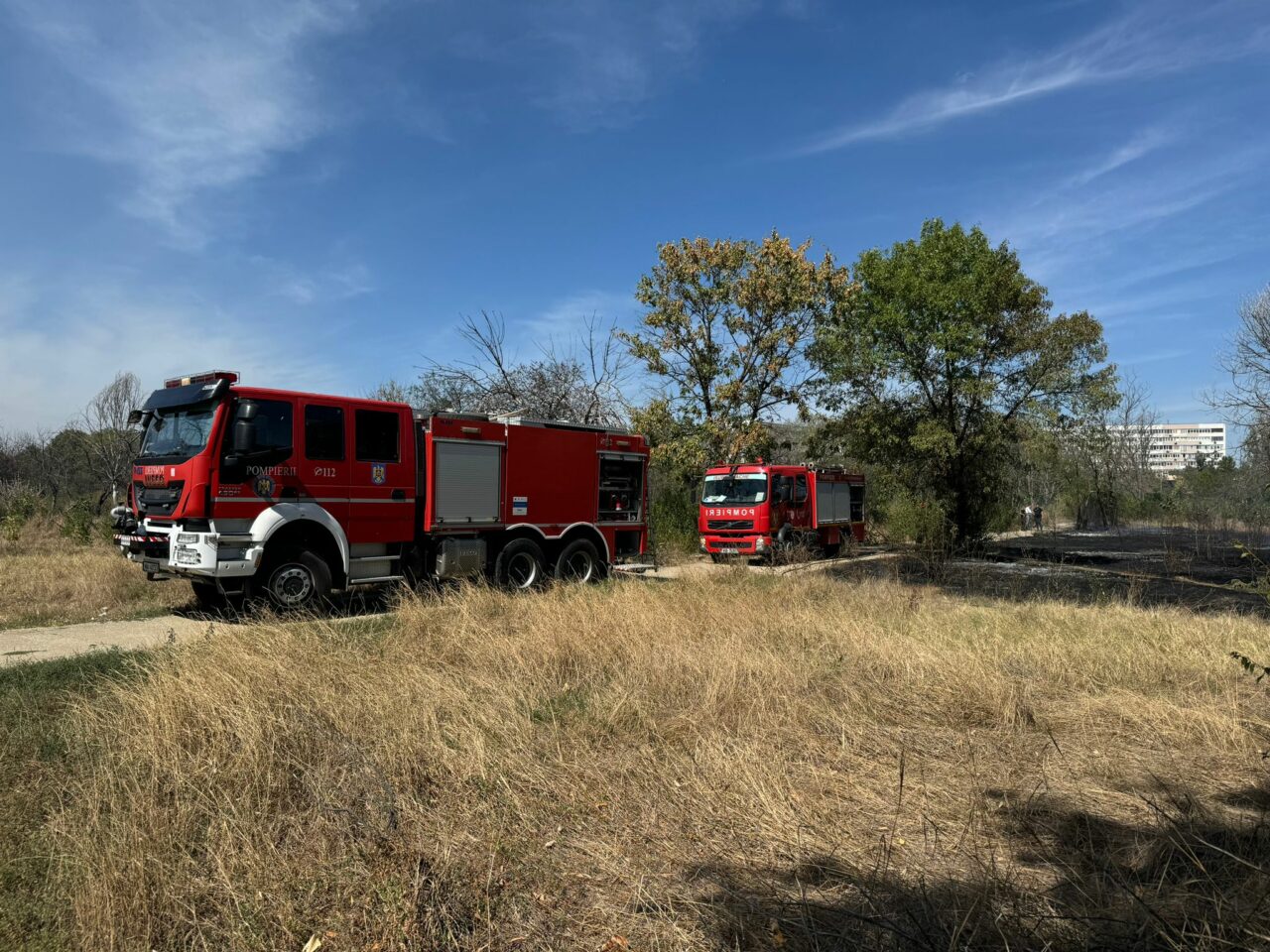 Încă un incendiu de vegetație în parcul IOR din Capitală/ Două hectare au fost pârjolite