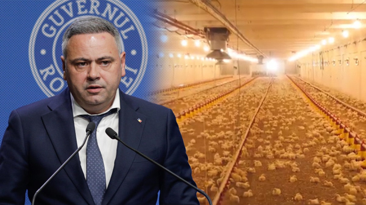 Ministrul Florin BARBU, la o fermă de pui din OLT: În orașul Potcoava se simte și se produce românește