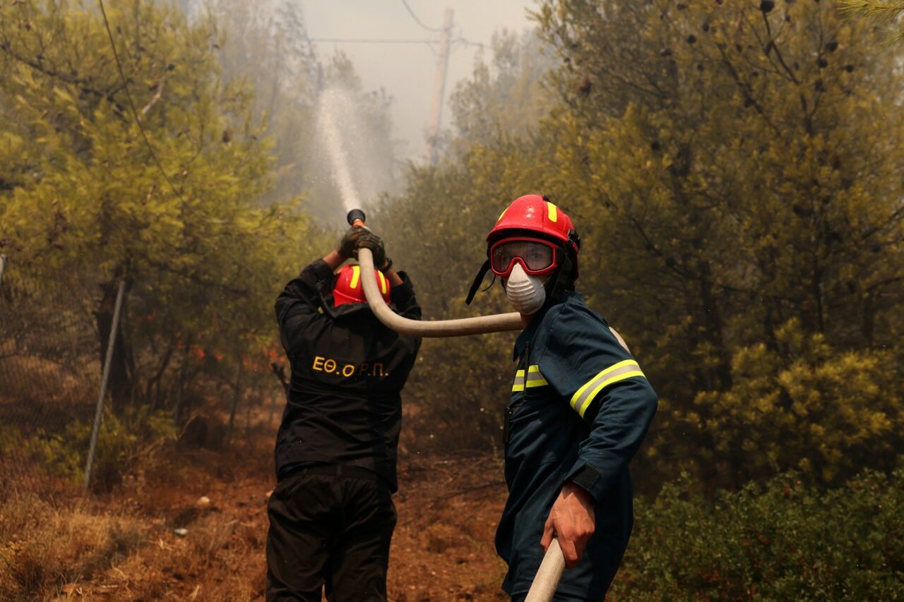 Motivul INCREDIBIL pentru care o femeie din Grecia a dat foc unei păduri… de două ori