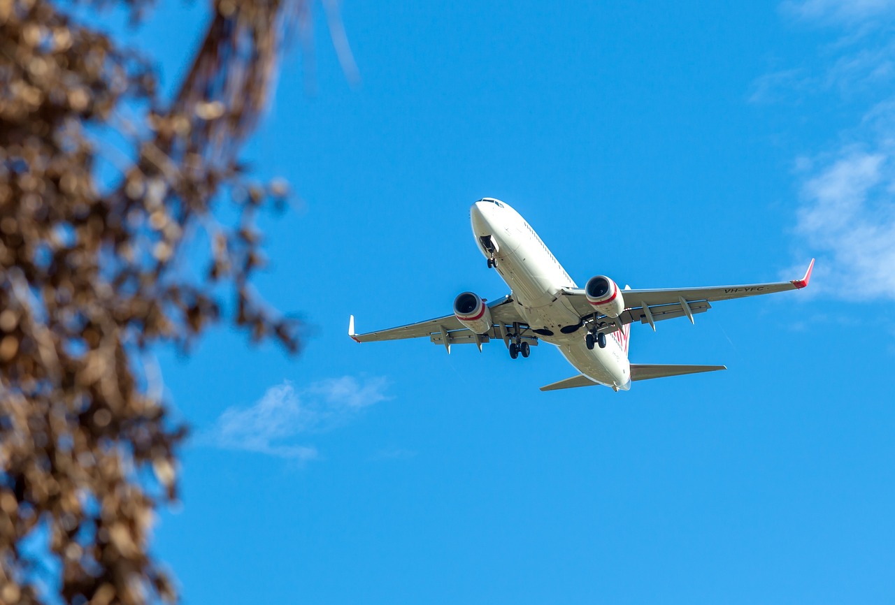 Un avion cu destinația Malaga a aterizat de URGENȚĂ din cauza unui șoarece. Creatura a fost descoperită în mâncarea unei pasagere
