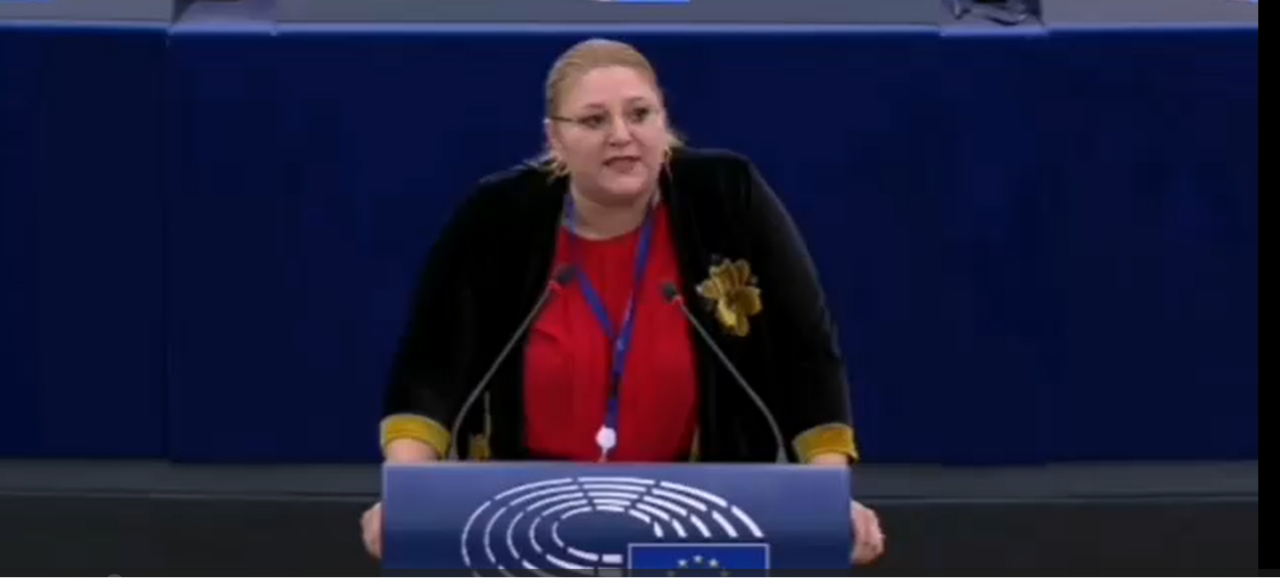 Avem motivarea CCR în cazul RESPINGERII candidaturii Dianei Șoșoacă