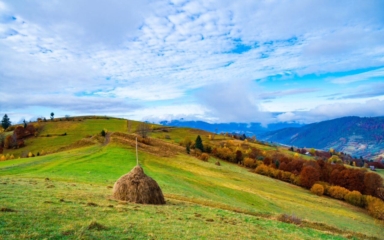 Satul din România cumpărat, în întregime, la prețul unui apartament! Are un singur locuitor