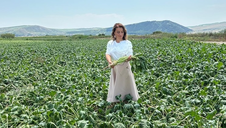 Mihaela Neagu, Fabrica de ZAHĂR Premium Luduș: „În România nu există cerere de melasă și borhot”