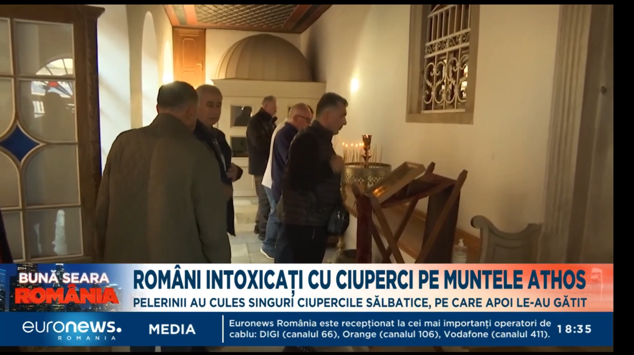 Unsprezece români s-au intoxicat cu ciperci otrăvitoare pe Muntele Athos. Cum se simt acum