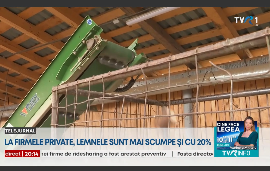 Vești bune pentru românii care se încălzesc cu lemne. Prețurile sunt mai mici ca anul trecut