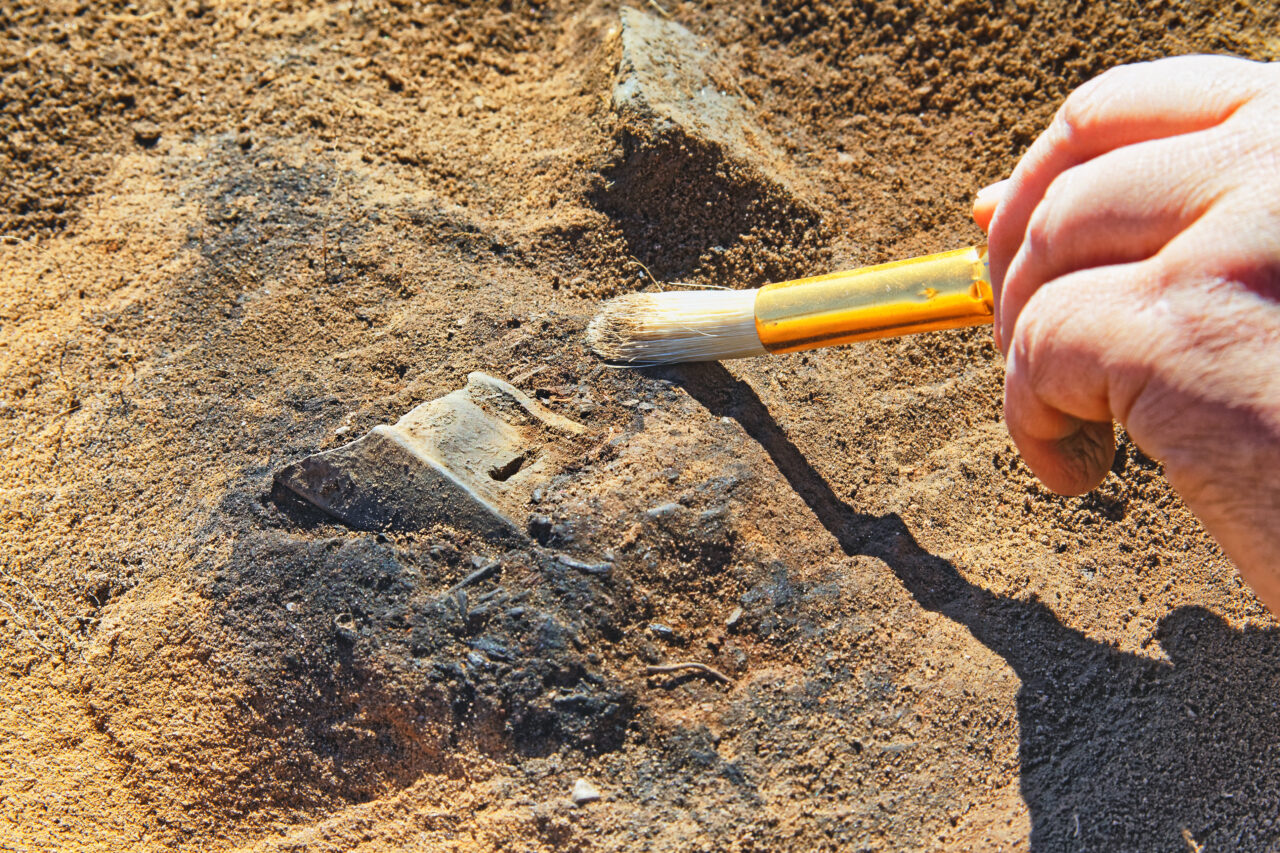 Descoperire arheologică realizată în Mureș: OBIECTUL, datat din Epoca Bronzului, ar fi fost fabricat în timpul războiului troian