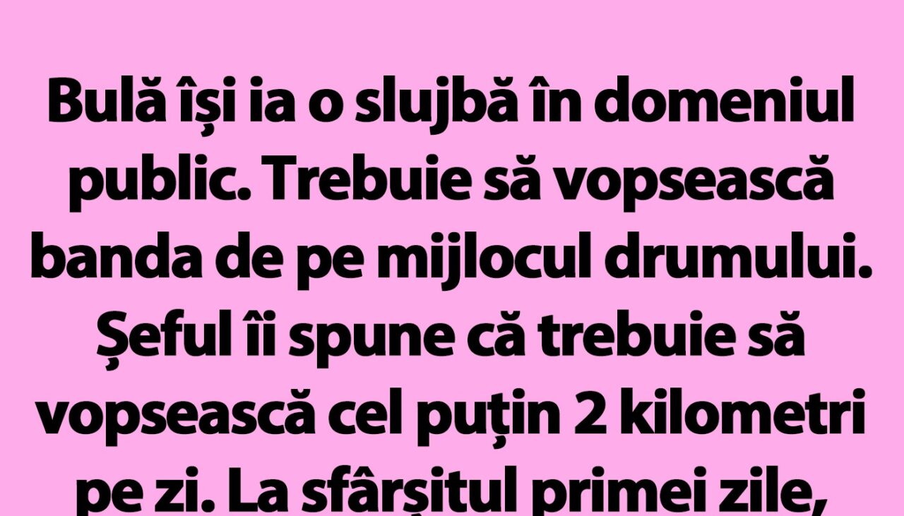 BANC | Bulă își ia o slujbă în domeniul public