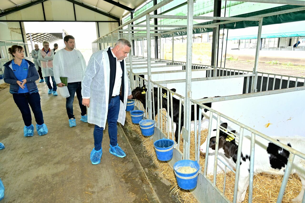 Prima reuniune a Consiliului Național al Laptelui/Ministrul Florin BARBU: Le-am prezentat fermierilor formele de sprijin ale Guvernului