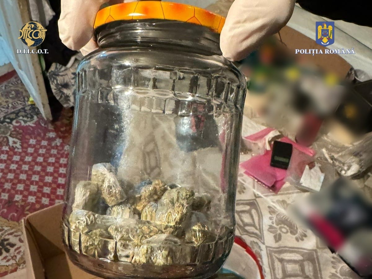 DIICOT, obligată să restituie unei familii de români canabisul confiscat. Ce s-a întâmplat, de fapt