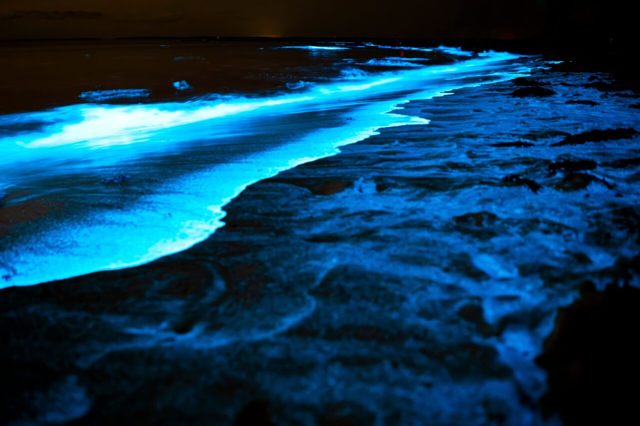 FENOMEN de bioluminiscență în Marea Neagră, observat de turiști și localnici. Valurile au „strălucit”