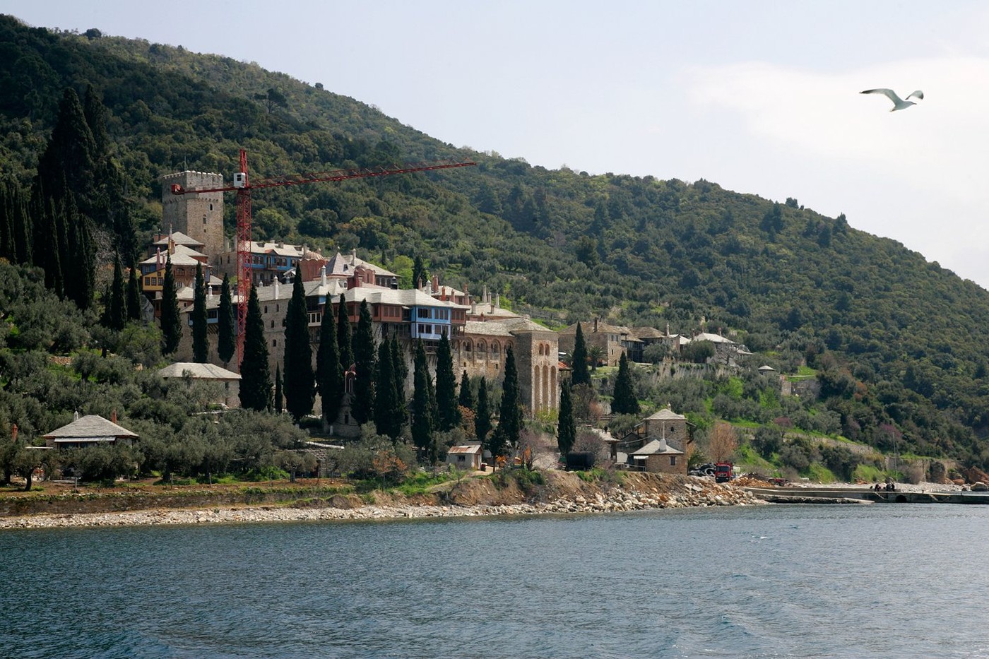 11 pelerini români, internați din cauza ciupercilor otravitoare pe Muntele Athos
