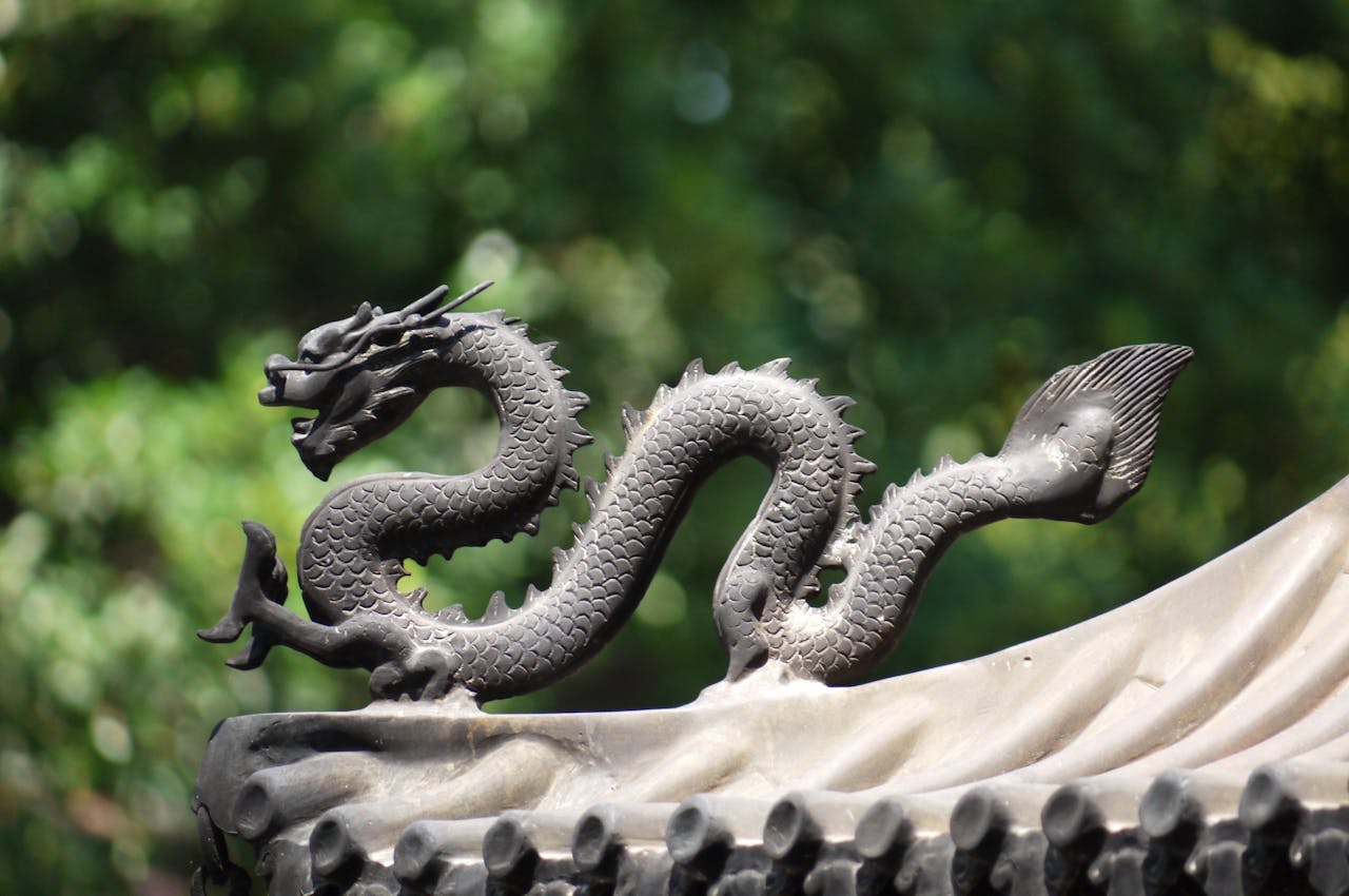 Ce ne ADUCE Anul Șarpelui de Lemn în 2025. Potrivit zodiacului chinezesc, are loc la fiecare 60 de ani