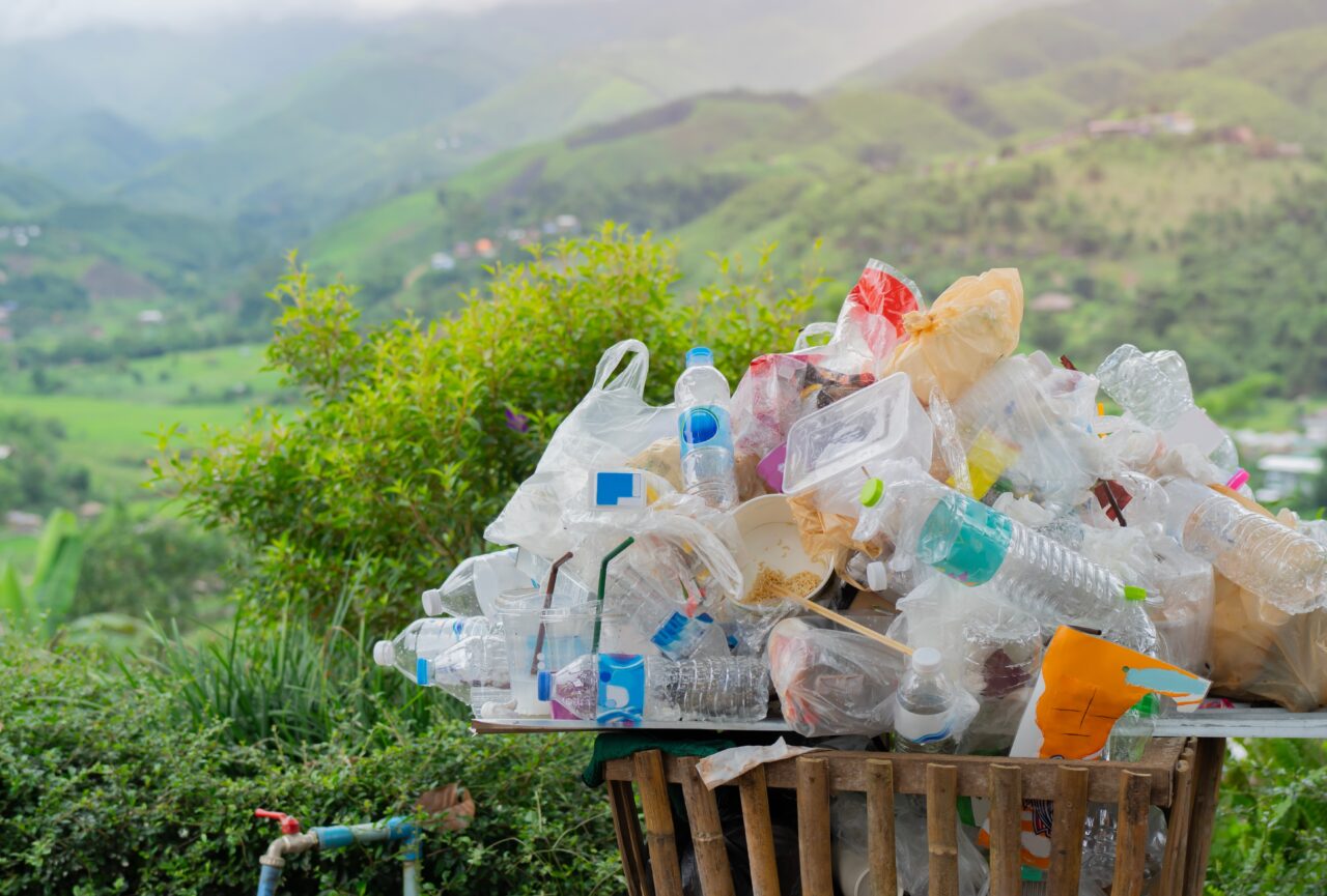 Jumătate din ambalajele alimentare din plastic ar putea fi eliminate. România s-a angajat să reducă poluarea până în 2050, potrivit GREEN Deal