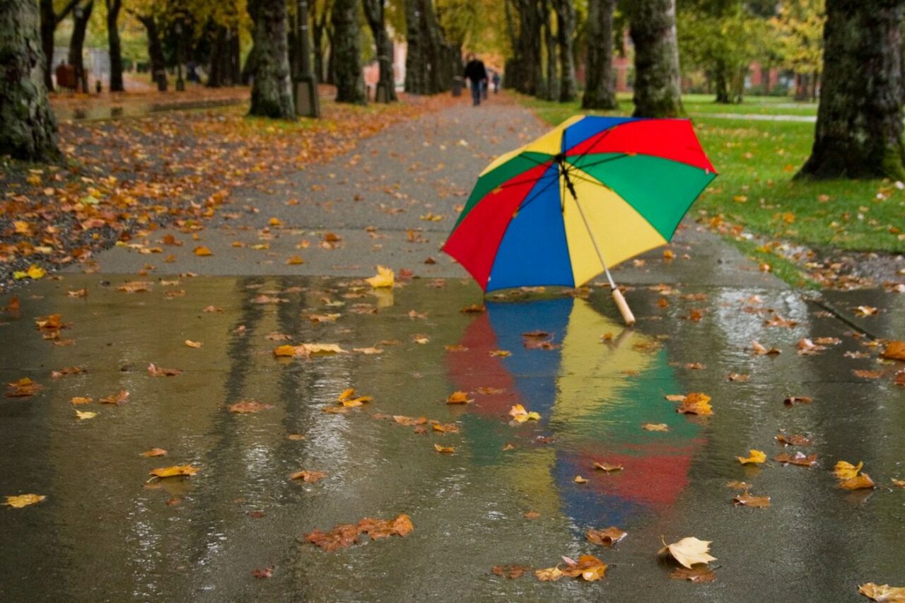 Toamna își intră în drepturi în România. Prognoza METEO pentru următoarele 4 săptămâni. Când revin ploile