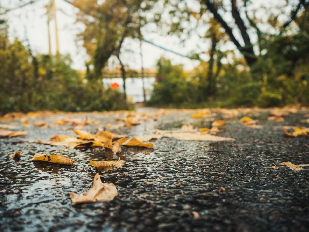 Prognoza METEO pentru următoarele 4 săptămâni. Final de octombrie cald. Cum va fi vremea până pe 25 noiembrie