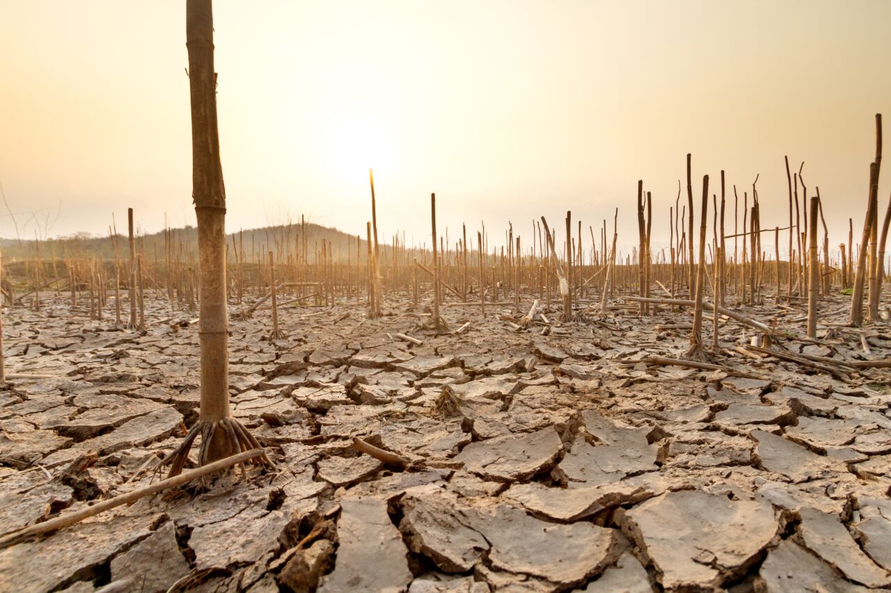 Studiu: Evenimentele meteo cu potențial letal sunt AGRAVATE de schimbările climatice