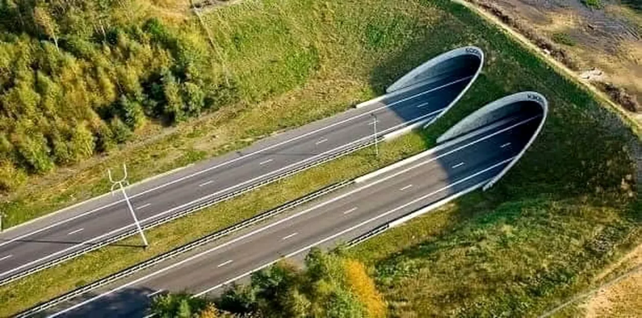 CNAIR are nou termen pentru a desemna CÂȘTIGĂTORUL celui mai scump lot de AUTOSTRADĂ din România. Când se va anunța constructorul pentru Lotul Meseș