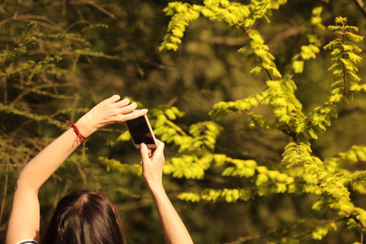 Care este locul din România unde nu ai voie cu telefonul mobil în vacanță. „Le spunem turiștilor să-și închidă telefoanele”