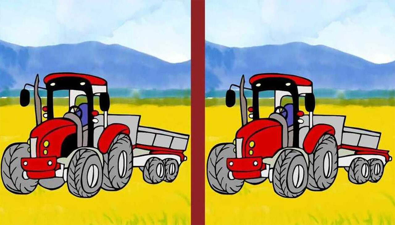 Test de logică | Găsiți toate cele 3 diferențe dintre aceste două poze