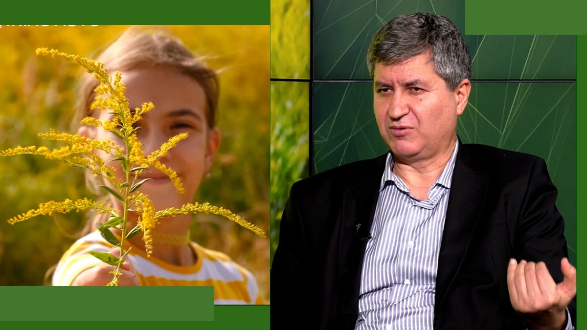 Prof. univ. dr. Robert Ancuceanu explică de ce AMBROZIA produce alergie: „Nu este o specie europeană, organismul nostru nu este învățat cu ea”