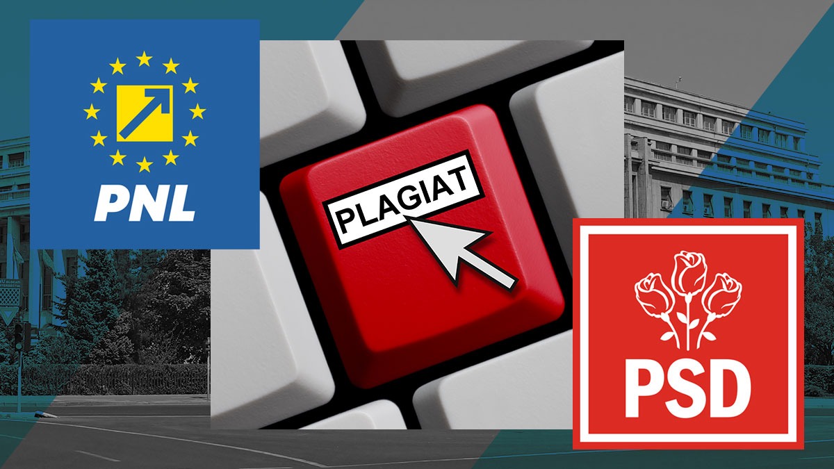 Programul de guvernare liberal, PLAGIAT din planurile PSD/Cristina RIZEA: Singura măsură originală a liberalilor este creșterea taxelor