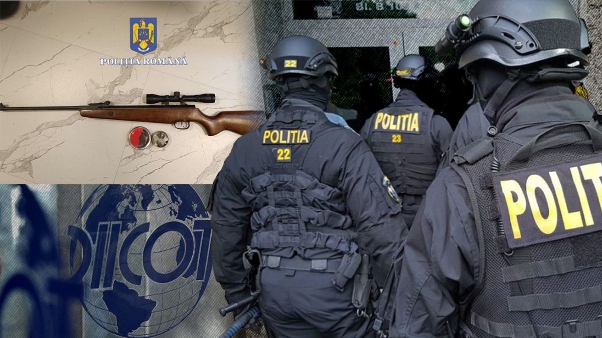 Un inculpat şi 65 de SUSPECȚI în cadrul Operaţiunii „Ghost Guns”. Anchetatorii au găsit arme letale și neletale, muniție și câini de luptă răniţi