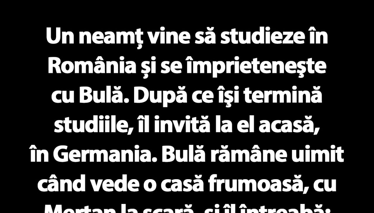 BANC | Bulă și colegul din Germania