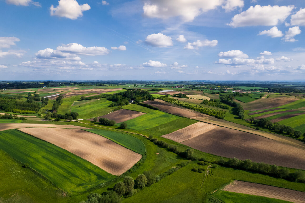 Sunt noi reguli pentru proprietarii de terenuri. Ce ordin va intra în vigoare în România