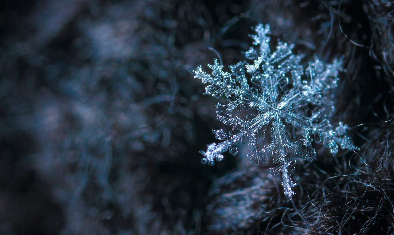 Ce ȘANSE sunt să ningă în România pe 25 decembrie. Meteorologii anunță dacă avem zăpadă de Crăciun