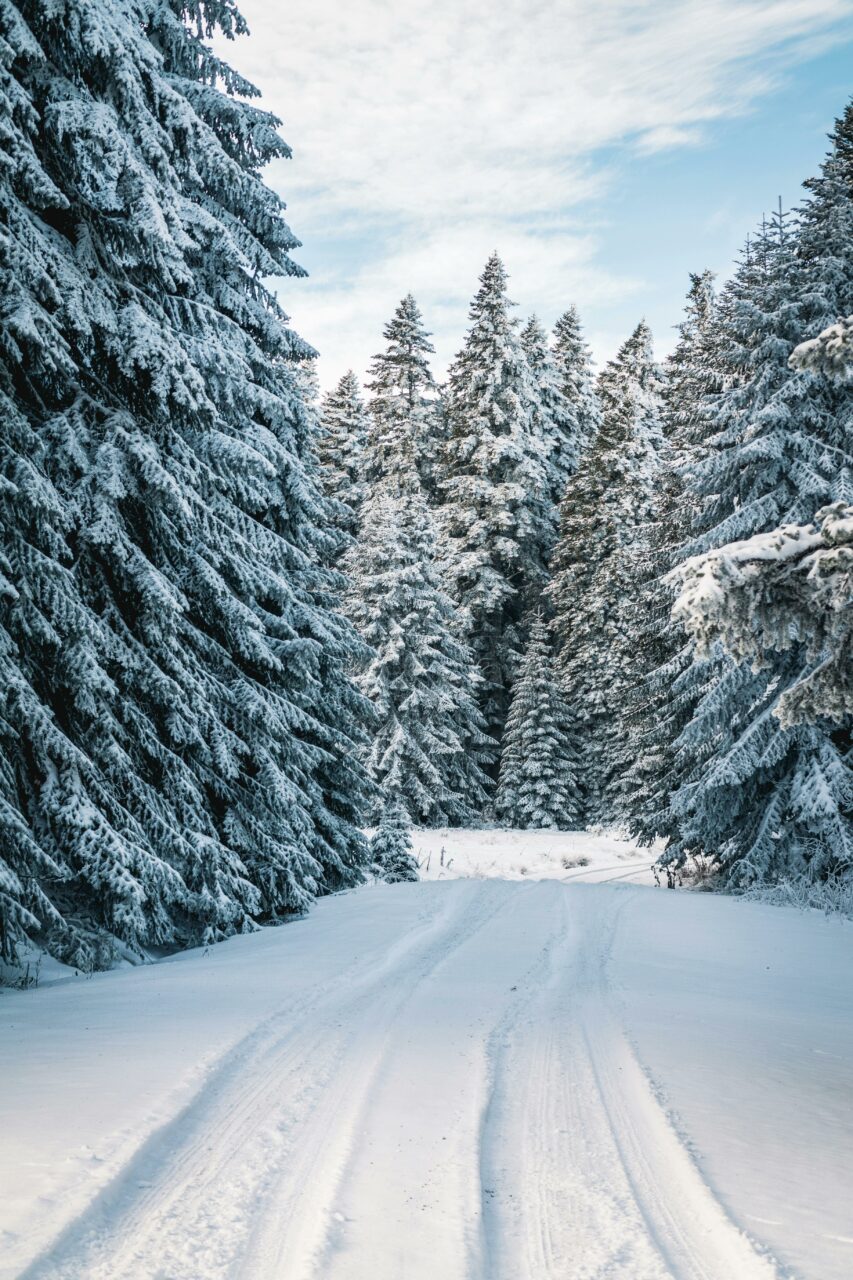 Ninge la munte: începutul unui sezon SPECTACULOS de iarnă