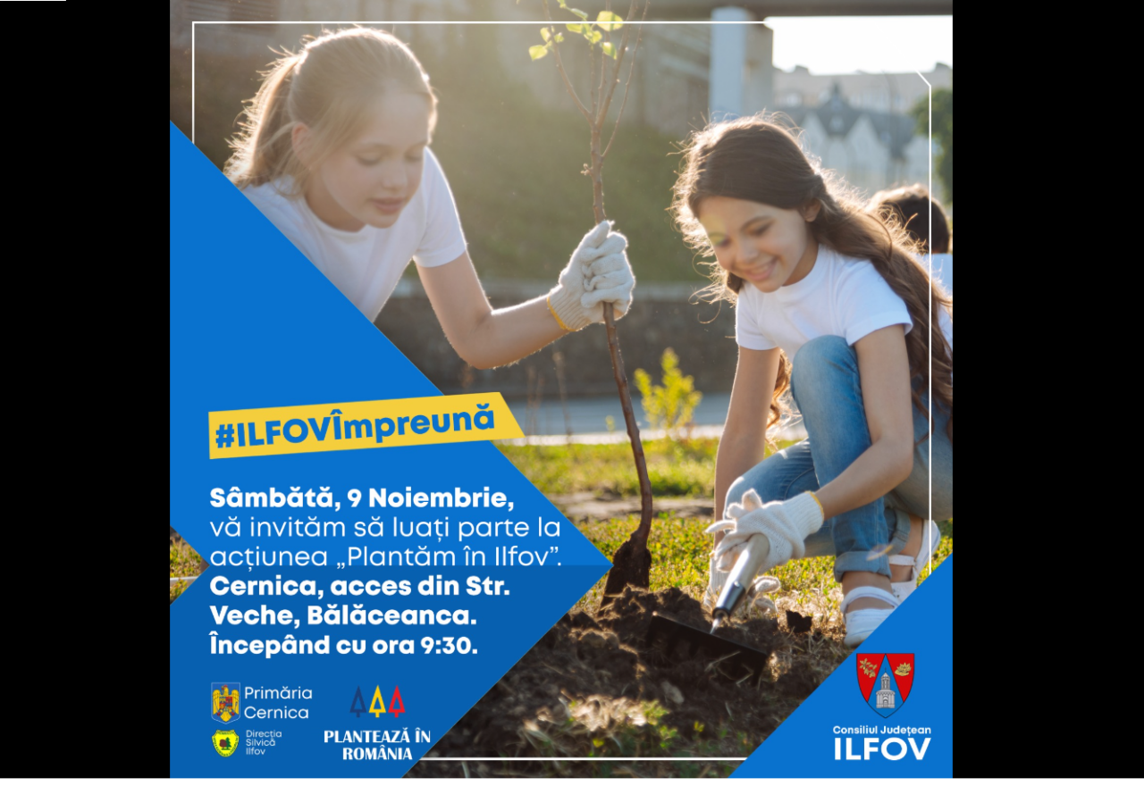 (P) 10 000 de puieți vor fi sădiți prin proiectul ,,Plantează în Ilfov”/2 ha de teren vor fi împădurite cu salcâm, ulm și frasin