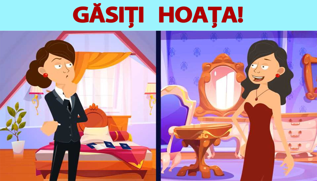 Test de inteligență | Identificați hoața în maximum 6 secunde!