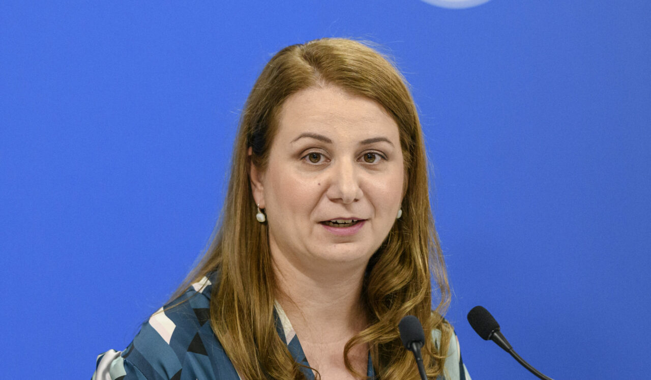 Ligia Deca: Am votat pentru o Românie UNITĂ, pentru o Românie cu parcurs european