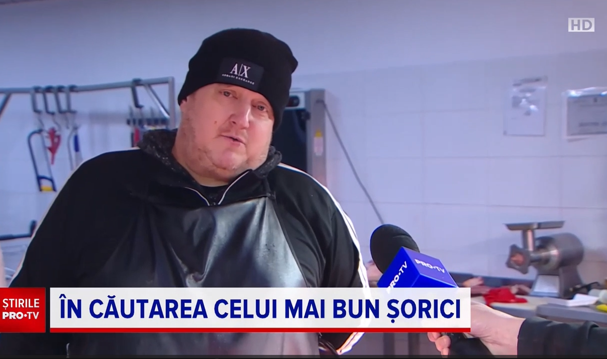 Care este cel mai bun șorici și cu cât se vinde la piață. Prețul nu este deloc de neglijat