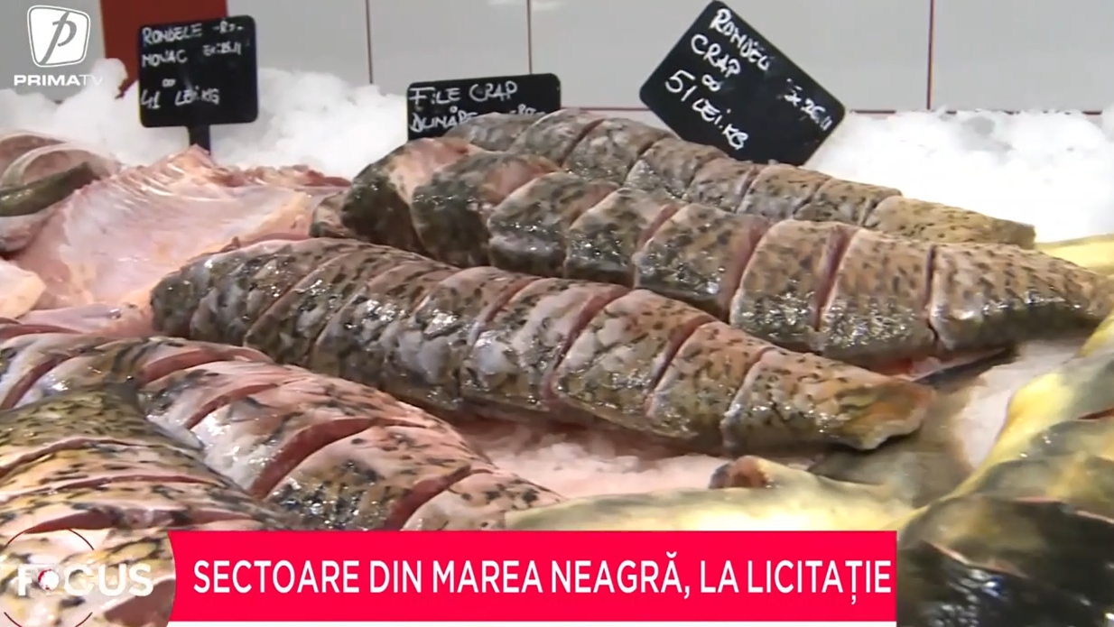 2025, anul în care am putea spune adio peștelui CONGELAT. Zeci de hectare din Marea Neagră vor găzdui ferme piscicole și de moluște