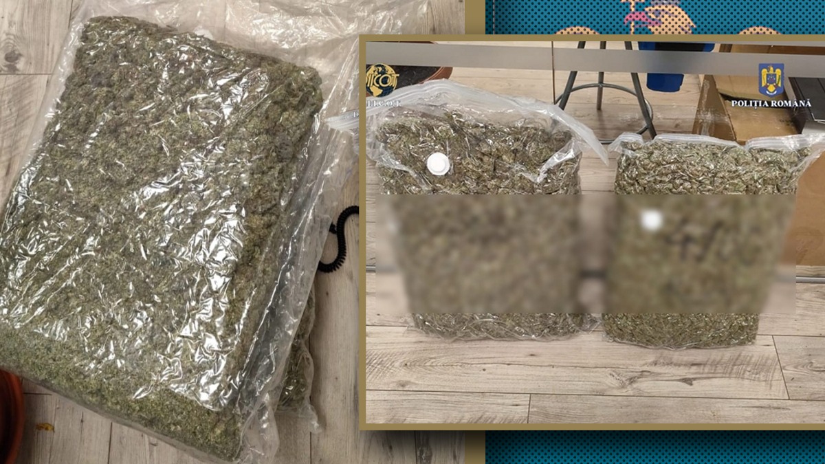 Cărâuș senior arestat cu cannabis în Timișoara | sursa foto: Gandul Cărâuș senior arestat cu cannabis în Timișoara | sursa foto: Gandul