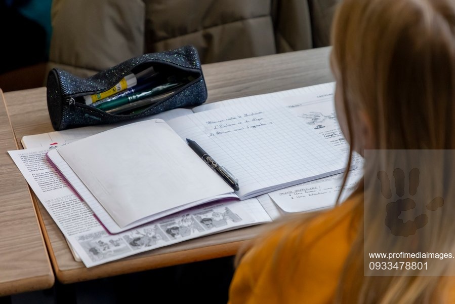 STUDIU: Elevii români excelează la matematică, dar întâmpină dificultăți la ȘTIINȚE