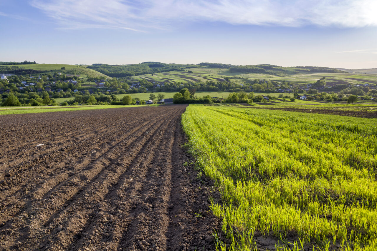 Cu cât se vinde hectarul de pământ în România. În ce zone se află cel mai ieftin și cel mai scump teren arabil