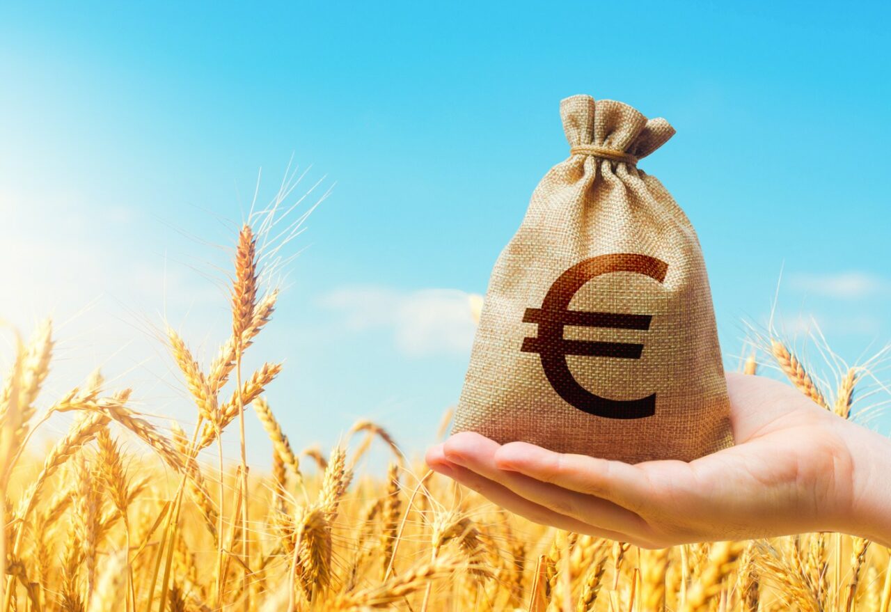 POVESTEA româncei care a plecat la muncă în Italia „Eram obosită, dar aveam bani pentru a mânca și a avea grijă de copii”