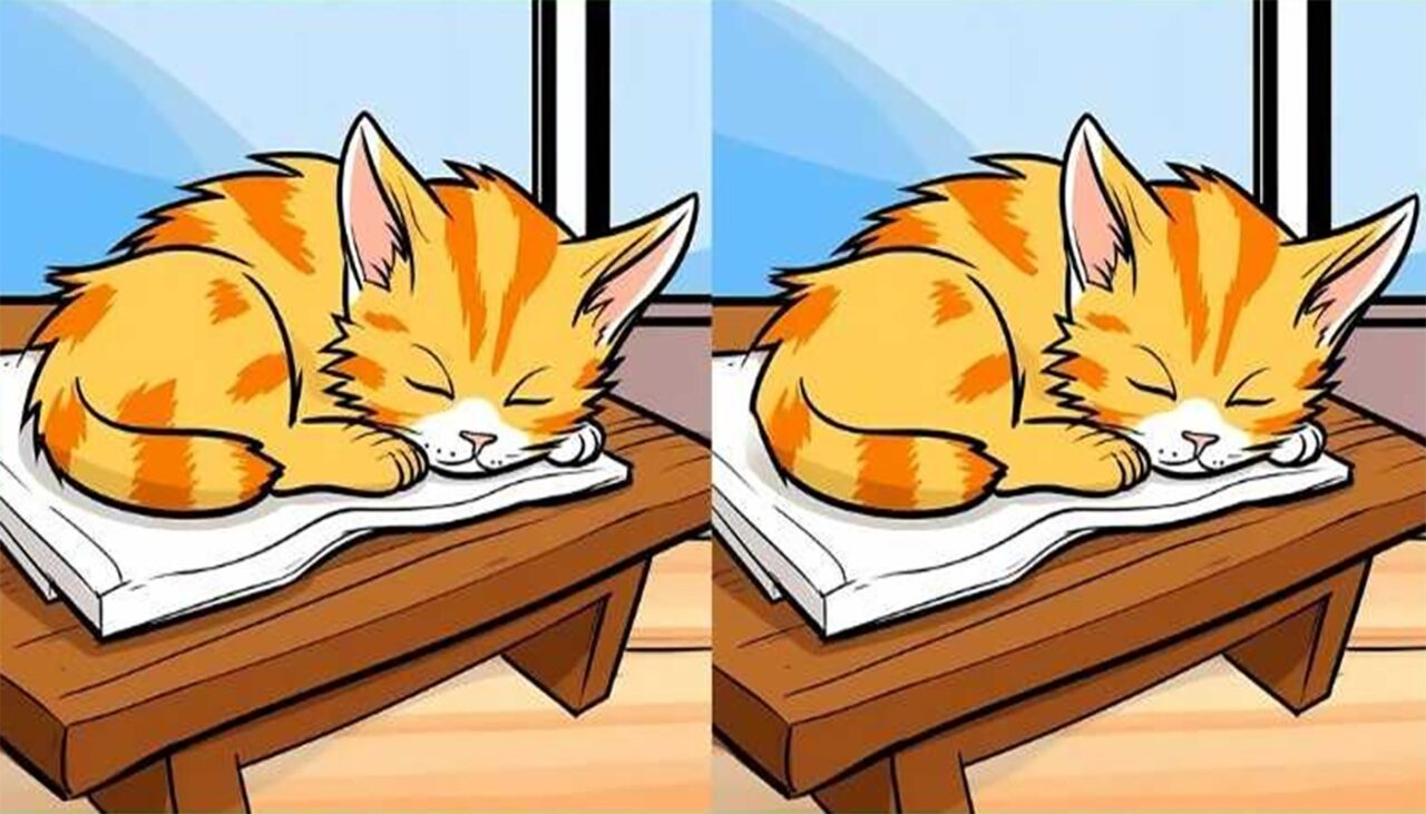 Test de logică | Găsiți toate cele 3 diferențe dintre aceste două imagini. Atenție la pisică!
