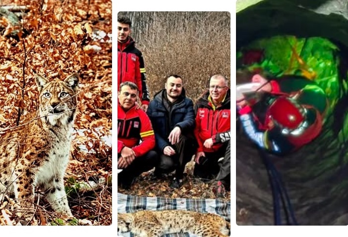 65 de TURIȘTI, salvați de pe munte în ultimele 24 de ore