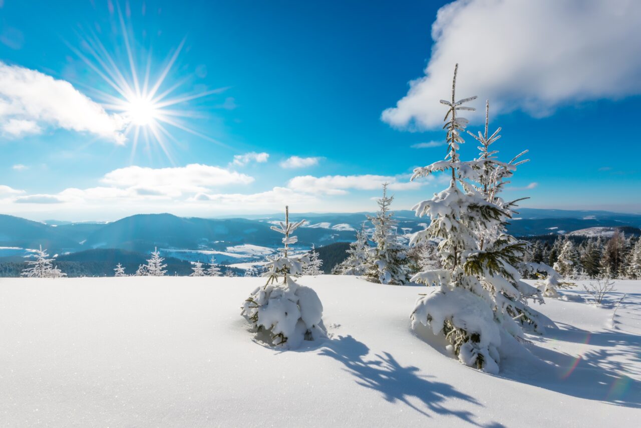 Meteo 29 ianuarie 2025. Vreme neobișnuită în toate regiunile României: temperaturi de până la 19°C