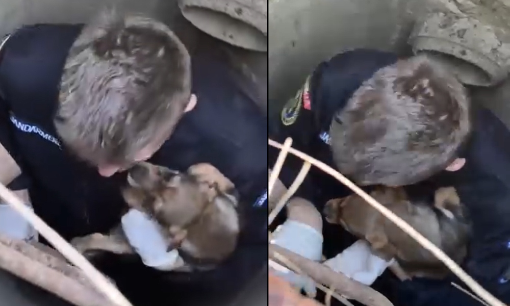 VIDEO | Momentul emoționant în care jandarmii din Argeș SALVEAZĂ un cățeluș blocat într-un canal