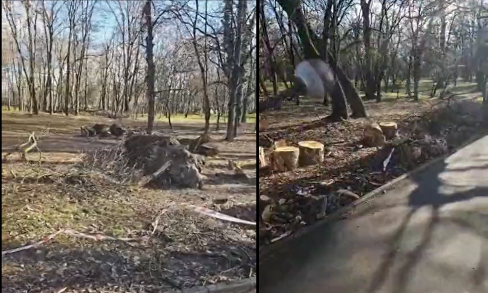 Priveliște DEZOLANTĂ în parcul Herăstrău. Cetățenii sunt revoltați: „Noul București, în viziunea primarului nostru. Un oraș prăbușit”