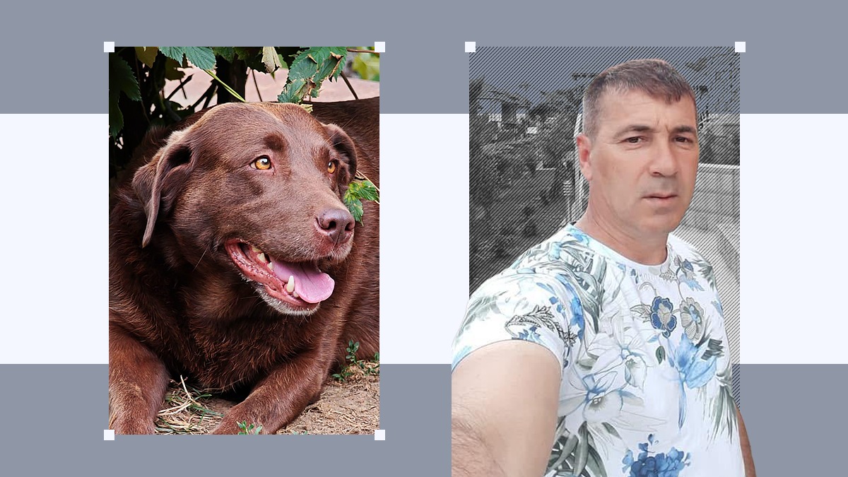 Caz rar în România. Un hunedorean a fost CONDAMNAT la închisoare pentru că a agresat sexual o femelă labrador
