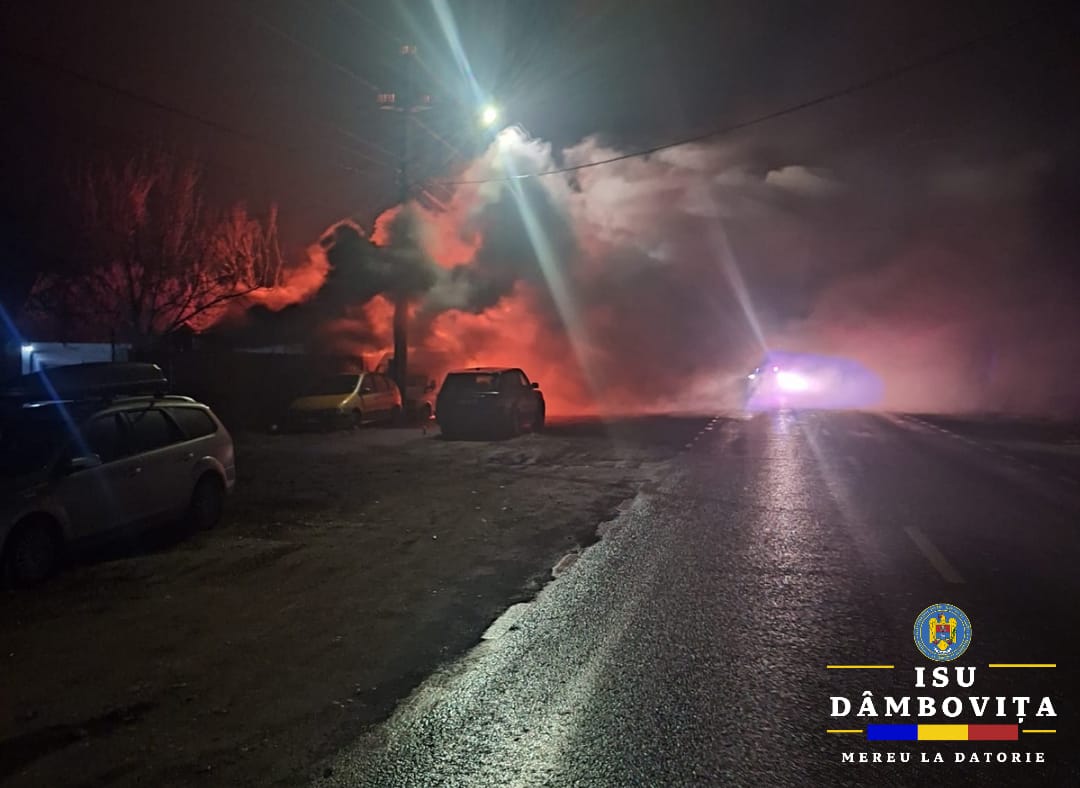 Incendiu uriaș la Crevedia, în apropiere de locul exploziei din 2023. O hală cu paleți, containere și cel puțin două mașini au fost mistuie de foc