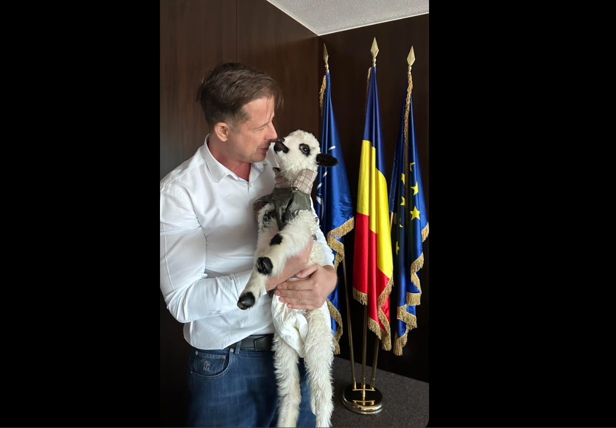 (P) Miel exploatat pentru bani/Hubert THUMA a mai salvat un suflet, iar acum îi caută un cămin primitor
