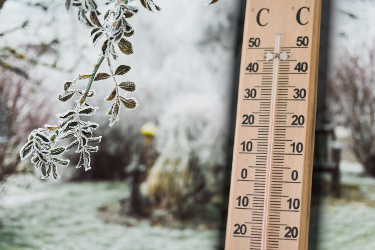 Prognoza METEO actualizată pentru săptămâna 13 – 19 ianuarie 2025. Temperaturi de până la -12 grade Celsius