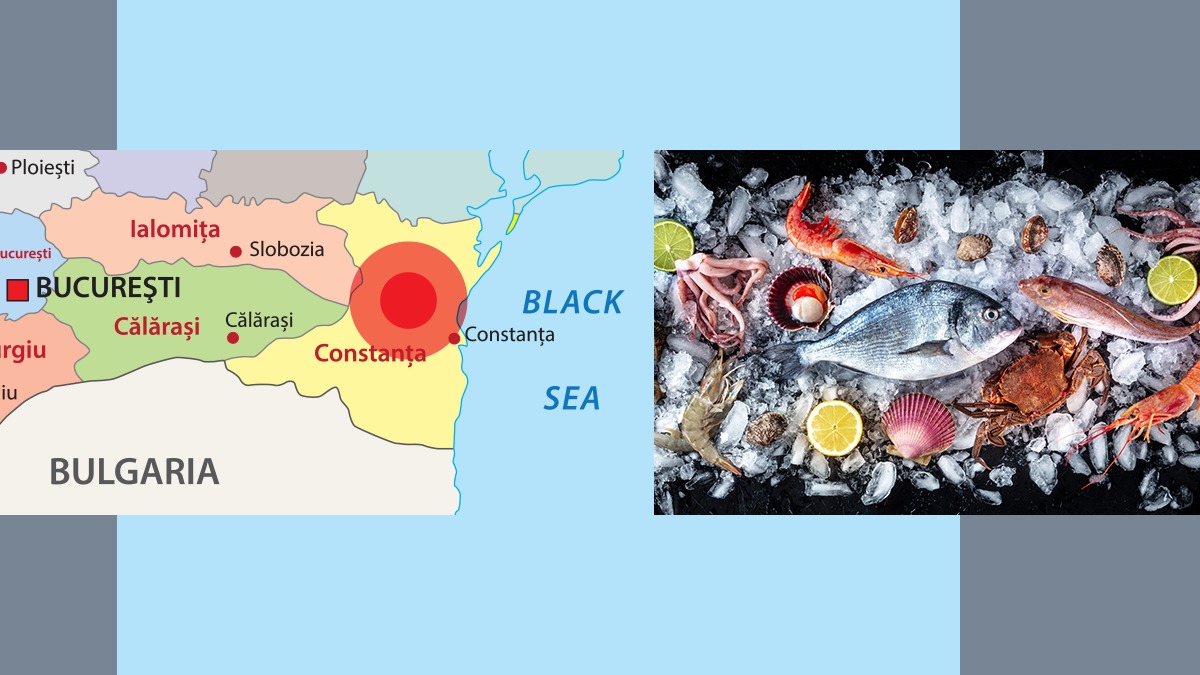 Apele ROMÂNE aduc Marea Neagră în farfurie/ „De anul viitor, fermierii vor începe să cultive păstrăv curcubeu, dar și specii mediteraneene”